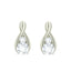 Silver Hoop Earring
