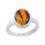 Certified Tiger Eye Elegant Silver Ring 6.5cts or 7.25ratti