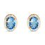 Silver Blue Earrings