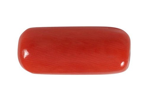 Italian Coral  (Moonga)