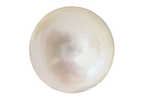 South Sea Pearl  (Moti)